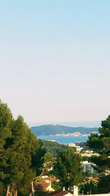 Villa Contemporaine F5 Cote Azur Ollioules Calme 外观 照片