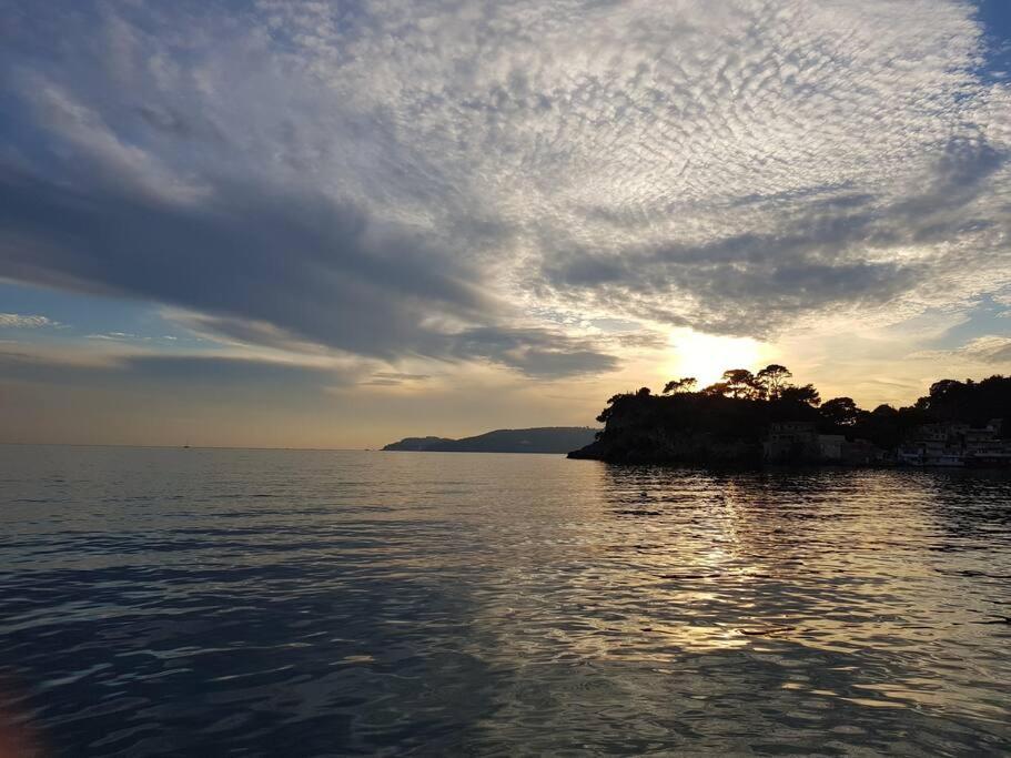 Villa Contemporaine F5 Cote Azur Ollioules Calme 外观 照片