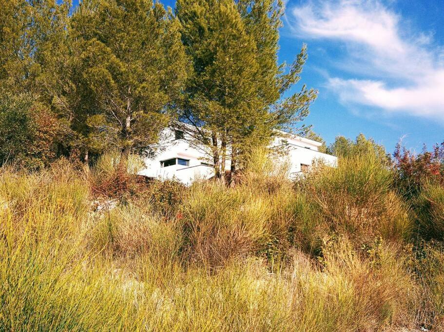 Villa Contemporaine F5 Cote Azur Ollioules Calme 外观 照片